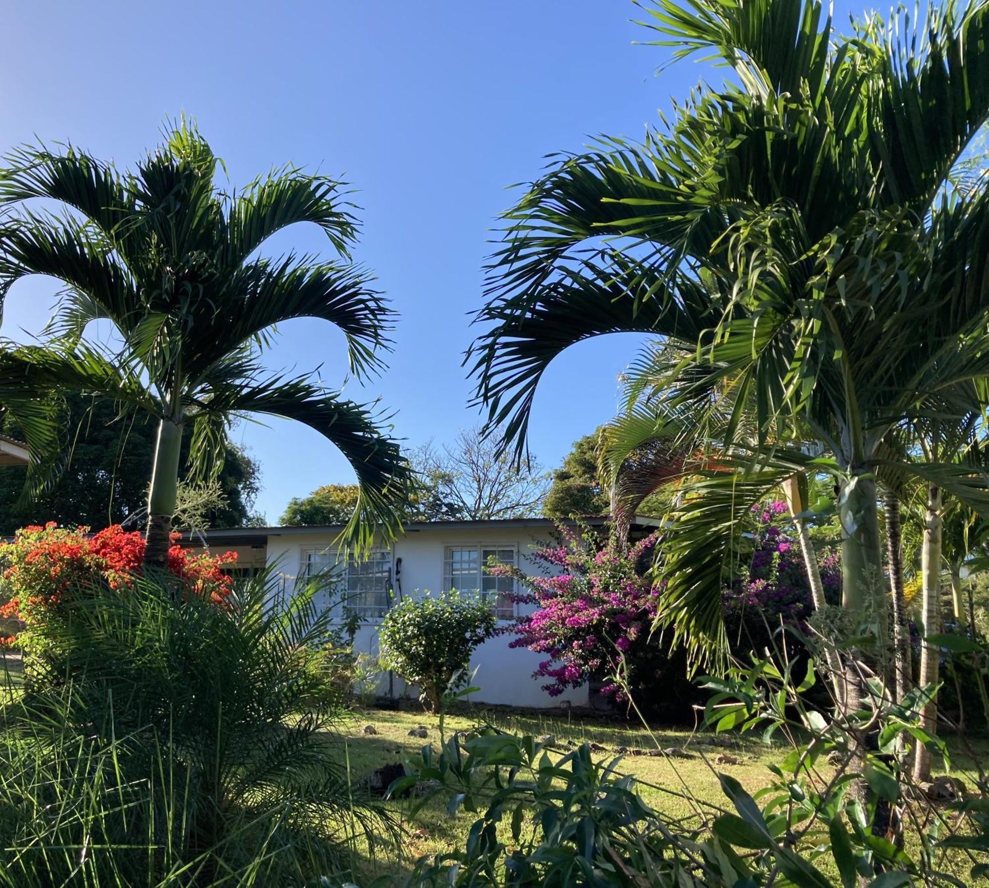 La Maracuya Panama Bed and Breakfast Playa Coronado Eksteriør billede