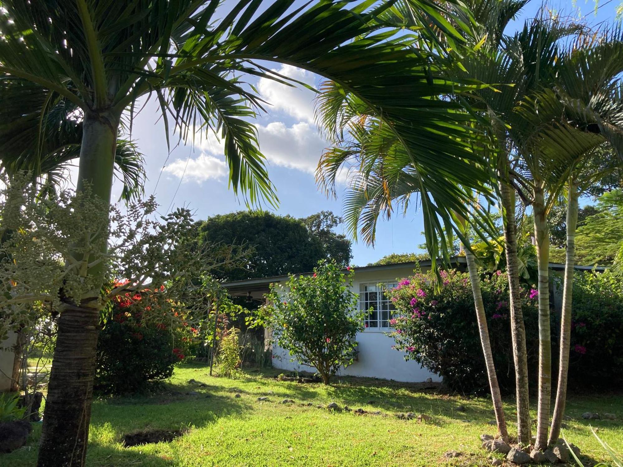 La Maracuya Panama Bed and Breakfast Playa Coronado Eksteriør billede